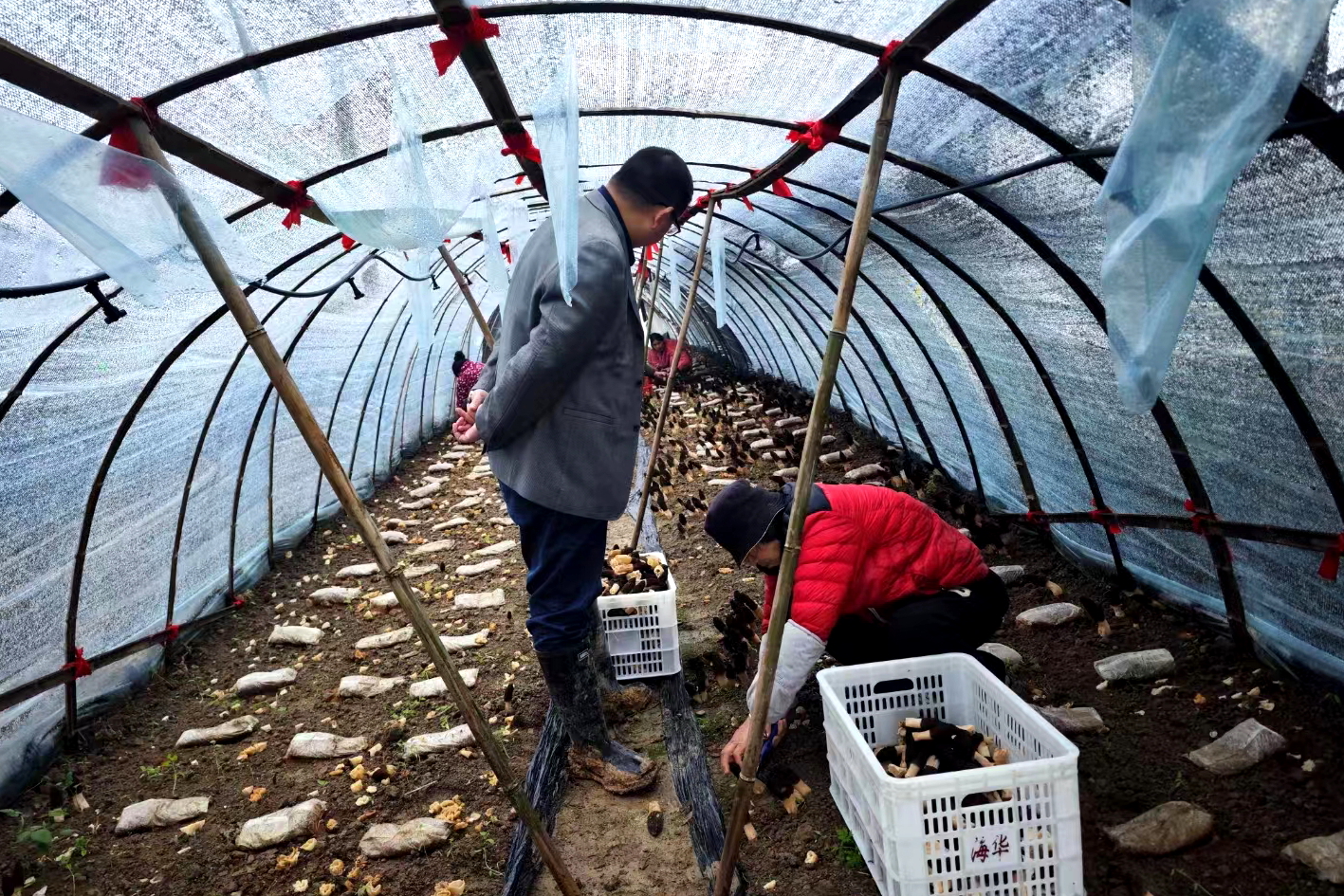 1718763139592024055.jpg 4.jpg